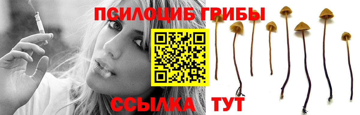 Северобайкальск  Галлюциногенные грибы Magic Shrooms  Вход с VPN 